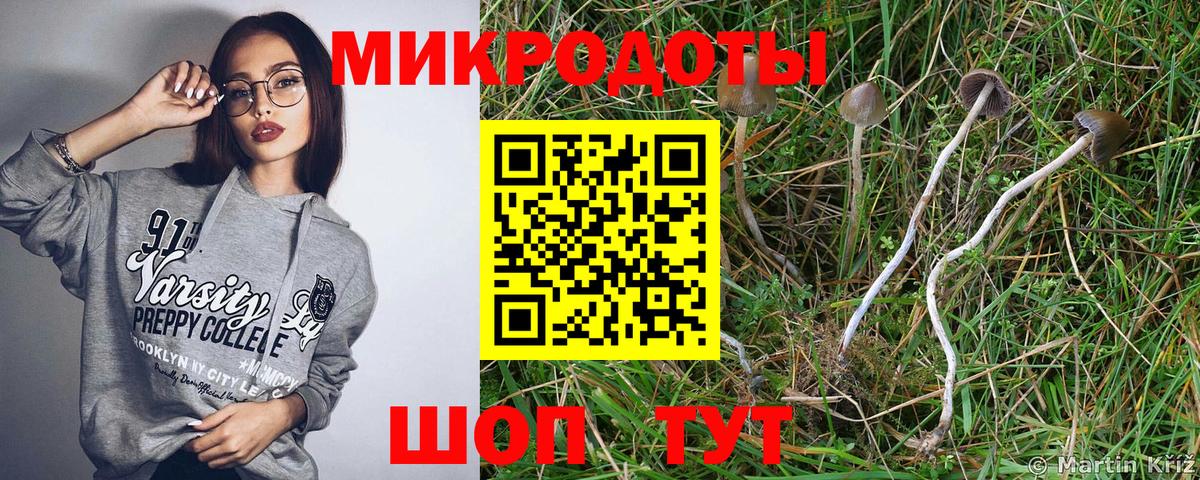 Галлюциногенные грибы Psilocybine cubensis  Вход с VPN  Коряжма 
